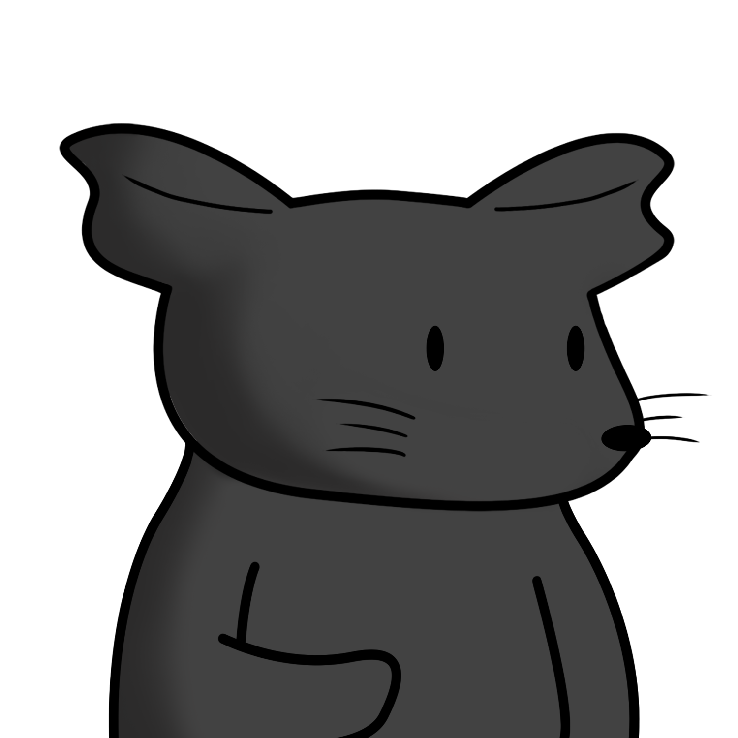 Dark Grey Body