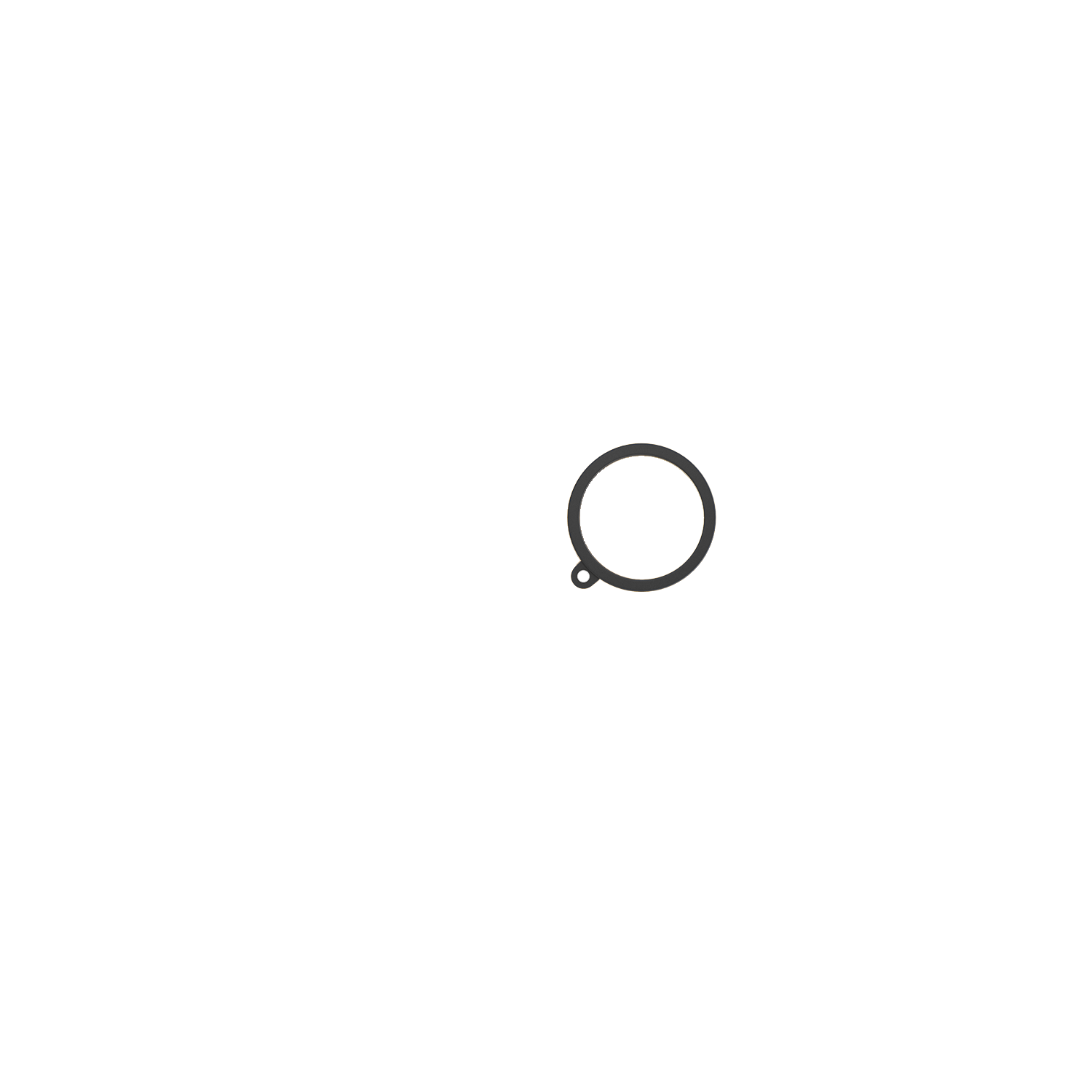 Monocle